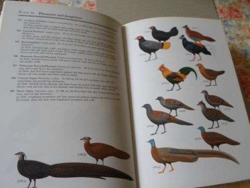 A FIELD GUIDE TO THE BIRDS OF WEST MALAYSIA AND SINGAPORE - ALLEN JEYARAJASINGAM AND ALAN PEARSON