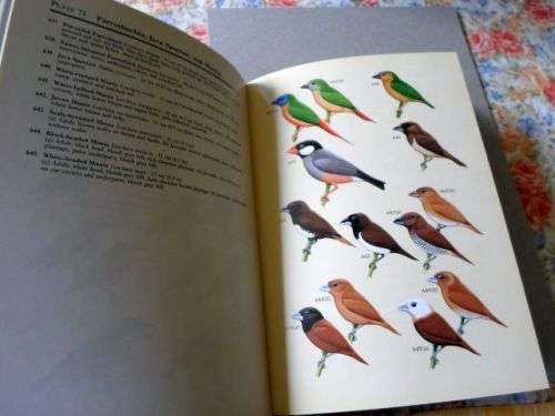A FIELD GUIDE TO THE BIRDS OF WEST MALAYSIA AND SINGAPORE - ALLEN JEYARAJASINGAM AND ALAN PEARSON