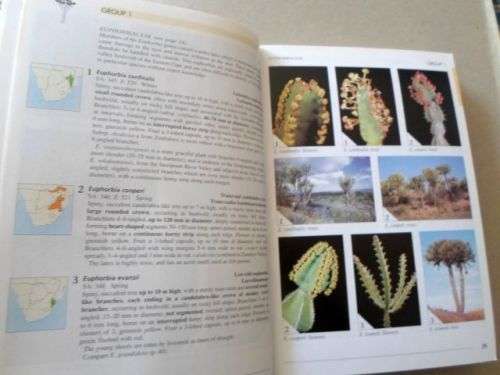 FIELD GUIDE TO TREES OF SOUTHERN AFRICA - BRAAM VAN WYK & PIET VAN WYK