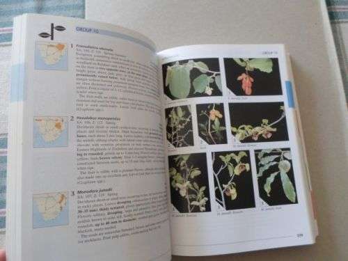FIELD GUIDE TO TREES OF SOUTHERN AFRICA - BRAAM VAN WYK & PIET VAN WYK