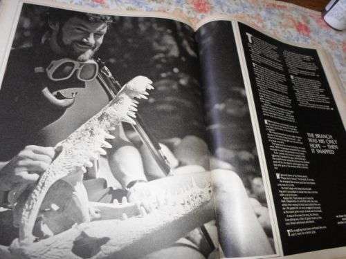 SCOPE MAGAZINE 9 MAY 1980 (  BRITISH LIONS , INTERPOL , JENNY WOOLF , FIONA WHITE , KOBUS DU TOIT )