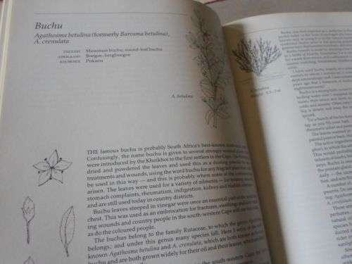 INDIGENOUS HEALING PLANTS - MARGARET ROBERTS (  weight 1,5 kg )