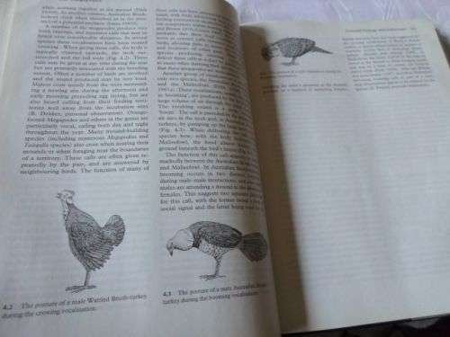 THE MEGAPODES - DARRYL N JONES , RENE W.R.J. DEKKER . CEES S ROSELAAR ( weight 0,80 kg )