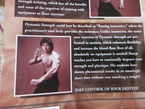 DYNAMIC STRENGTH - HARRY WONG ( weight 0,20 kg )