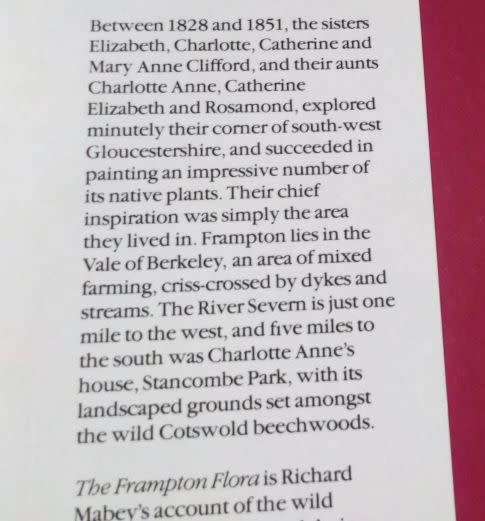 THE FRAMPTON FLORA - RICHARD MABEY