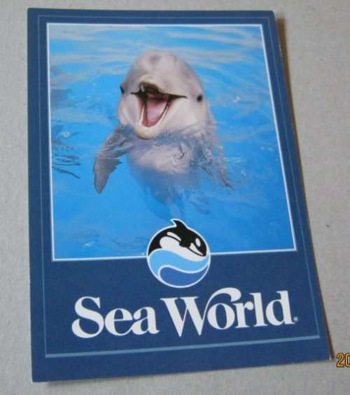 OLD ` SEA WORLD `    POST CARD x 5