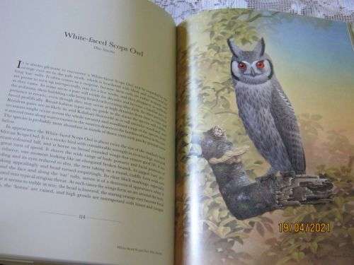 THE OWLS OF SOUTHERN AFRICA - ALAN KEMP & SIMON CALBURN