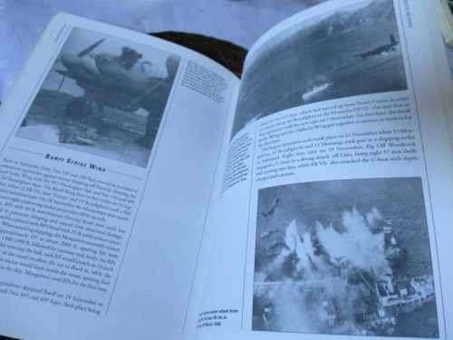 SCANDINAVIAN SIDESHOW 1940-45 - AIRCRAFT OF THE ACES NR 19