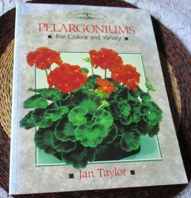 PELARGONIUMS FOR COLOUR AND VARIETY - JAN TAYLOR