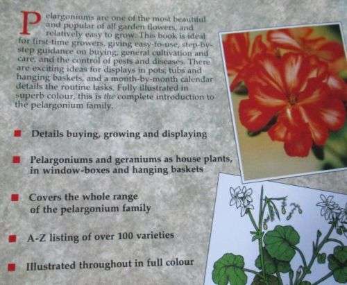 PELARGONIUMS FOR COLOUR AND VARIETY - JAN TAYLOR