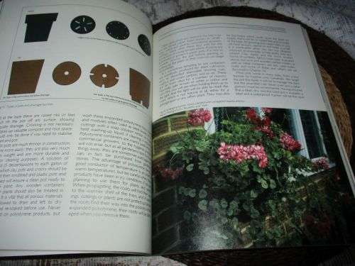 PELARGONIUMS FOR COLOUR AND VARIETY - JAN TAYLOR