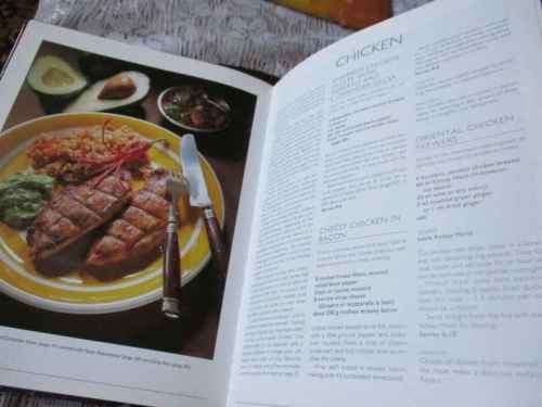 BRAAI IN STYLE - THE COMPLETE SOUTH AFRICAN OUTDOOR COOKBOOK - LANNICE SNYMAN