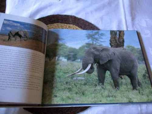 AFRICAN ELEPHANTS - CLIVE WALKER & NIGEL DENNIS