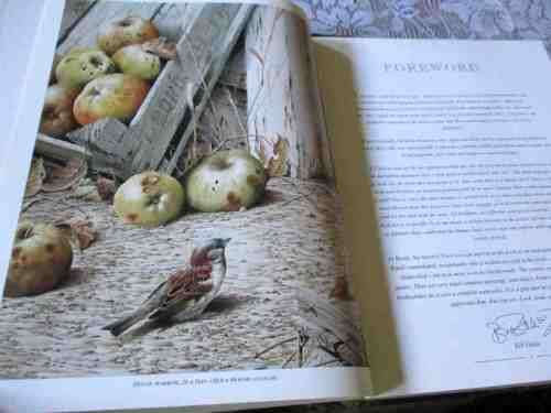 BIRDS - AN ARTIST`S VIEW - SELECTED PAINTINGS BY TERANCE JAMES BOND
