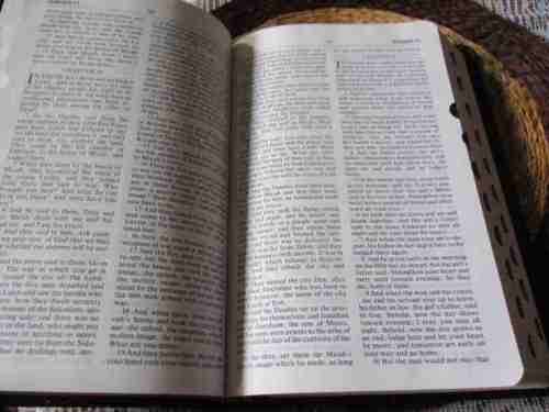 THE AMPLIFIED BIBLE - EXPANDED EDITION ( WITH IT`S BOX / HOLDER )
