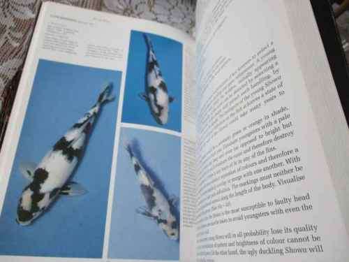 LIVING JEWELS - KOI KEEPING IN SOUTH AFRICA - RONNIE WATT and SERVAAS DE KOCK