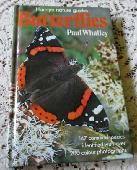 BUTTERFLIES - PAUL WHALLEY - HAMLYN NATURE GUIDES