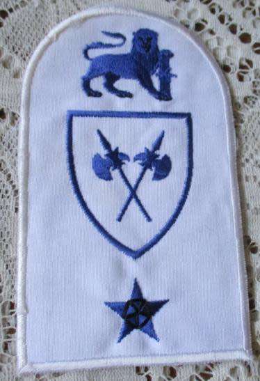 S.A. NAVY / NAVAL BADGE - PROTECTION FORCE PART 3