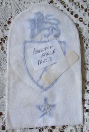 S.A. NAVY / NAVAL BADGE - PROTECTION FORCE PART 3