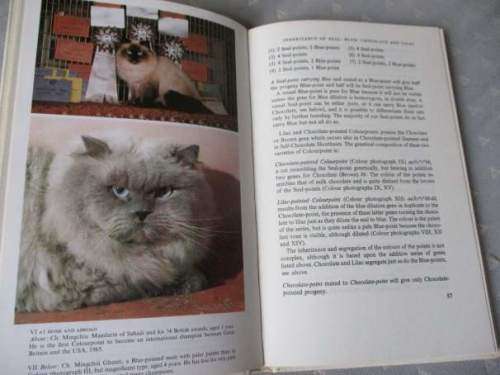 COLOURPOINT AND HIMALAYAN CATS - GENETICS, BREEDING AND CARE OF THESE AND OTHER PEDIGREE CATS