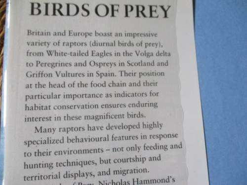 BIRDS OF PREY - NICHOLAS HAMMOND & BRUCE PEARSON - HAMLYN BIRD BEHAVIOUR GUIDES