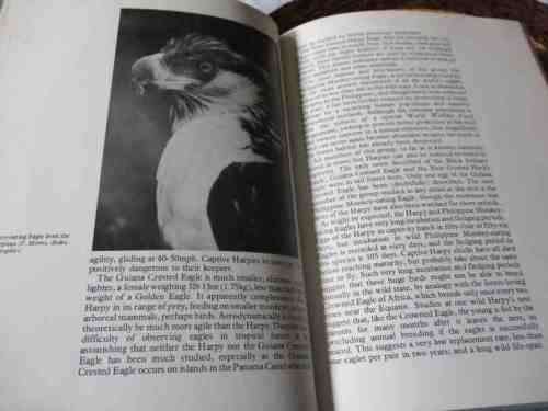 EAGLES OF THE WORLD - LESLIE BROWN
