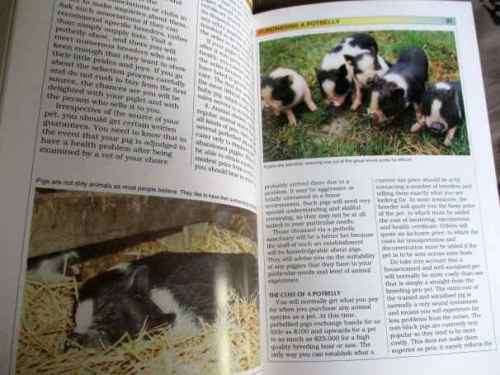 POTBELLIED PIGS IN YOUR HOME - DENNIS KELSEY-WOOD