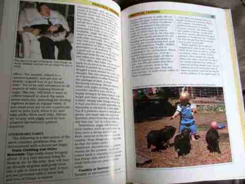 POTBELLIED PIGS IN YOUR HOME - DENNIS KELSEY-WOOD