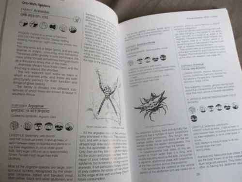 SOUTHERN AFRICAN SPIDERS - AN IDENTIFICATION GUIDE - MARTIN R FILMER