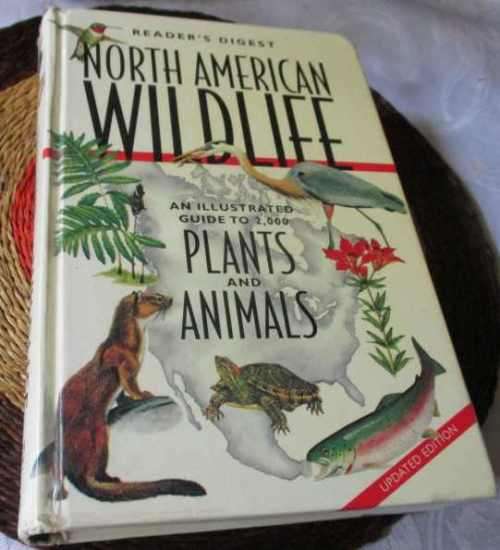 NORTH AMERICAN WILDLIFE - READER`S DIGEST