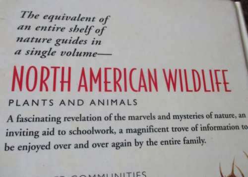 NORTH AMERICAN WILDLIFE - READER`S DIGEST