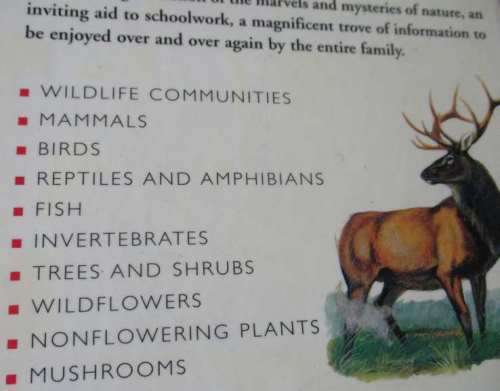 NORTH AMERICAN WILDLIFE - READER`S DIGEST