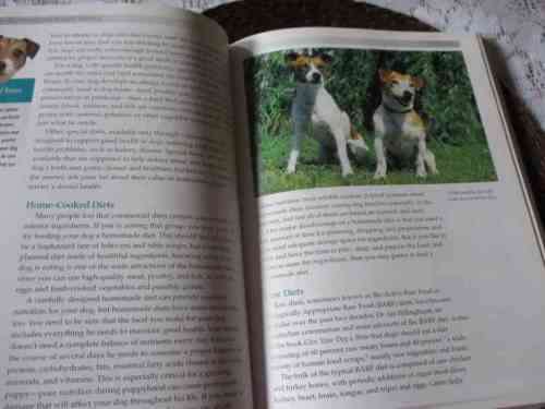 THE PARSON & JACK RUSSELL TERRIERS - SHEILA WEBSTER BEONEHAM