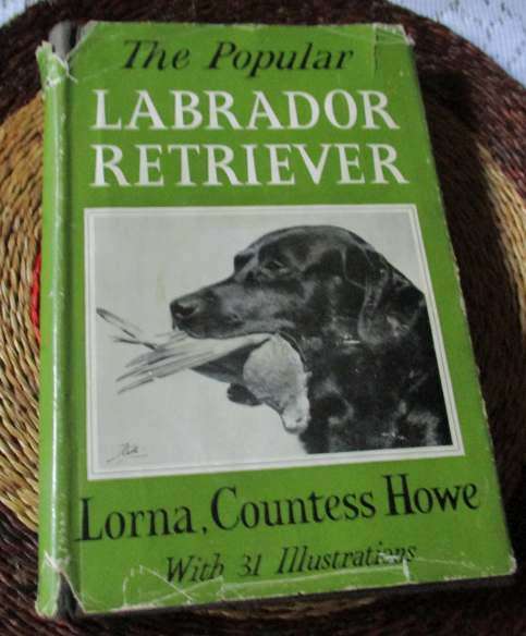 THE POPULA LABRADOR RETRIEVER - LORNA COUNTESS HOWE