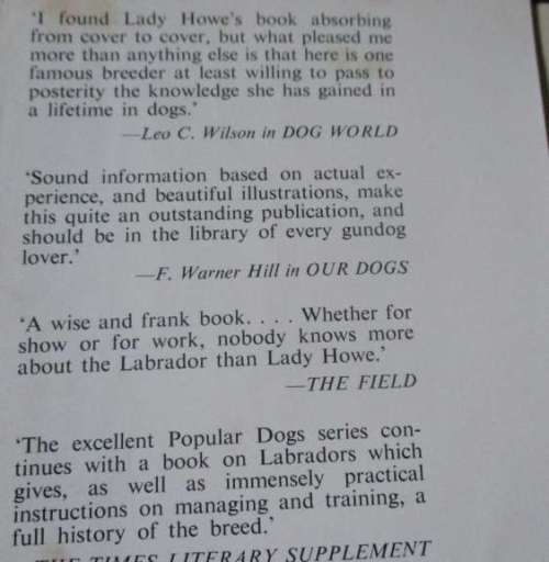 THE POPULA LABRADOR RETRIEVER - LORNA COUNTESS HOWE