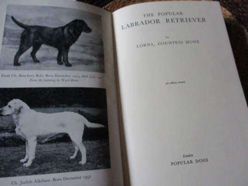 THE POPULA LABRADOR RETRIEVER - LORNA COUNTESS HOWE