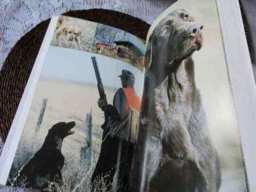 THE POINTING LABRADOR - GETTING THE MOST FROM YOU & YOUR DOG - PAUL & JULIE KNUTSON