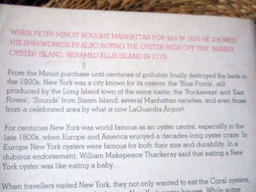 THE BIG OYSTER - NEW YORK IN THE WORLD - A MOLLUSCULAR HISTORY - MARK KURLANSKY