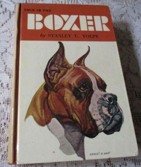 THIS IS THE BOXER - STANLEY U VOLPE