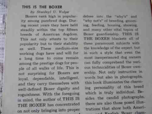 THIS IS THE BOXER - STANLEY U VOLPE