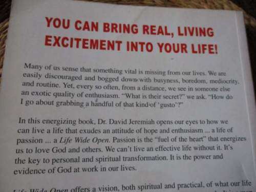 LIFE WIDE OPEN - UNLEASHING THE POWER OF A PASSIONATE LIFE - DAVID JEREMIAH