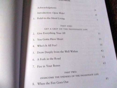LIFE WIDE OPEN - UNLEASHING THE POWER OF A PASSIONATE LIFE - DAVID JEREMIAH