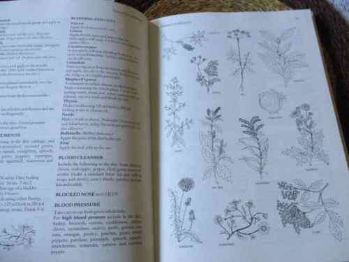 TREASURY OF HERBS - MARGARET ROBERTS