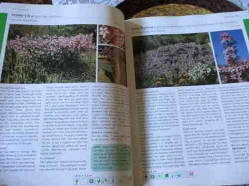 EASY GUIDE TO INDIGENOUS SHRUBS - PITTA JOFFIE