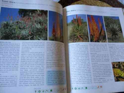 EASY GUIDE TO INDIGENOUS SHRUBS - PITTA JOFFIE