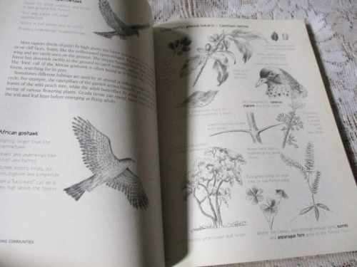 DISCOVERING INDIGENOUS FORESTS AT KIRSTENBOSCH - SALLY ARGENT & JEANETTE LOEDOLFF ( SIGNED )