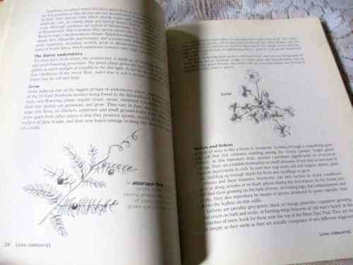 DISCOVERING INDIGENOUS FORESTS AT KIRSTENBOSCH - SALLY ARGENT & JEANETTE LOEDOLFF ( SIGNED )