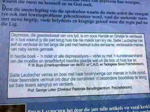 DONKER BOS VERDWAAL - BELYDENIS VAN N` DEPRESSIELYER - SIELIE LAUBSCHER
