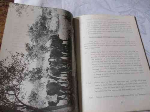 SHELTER BELTS AND WINDBREAKS IN SOUTH AFRICA - DEPARTMENT OF  FORESTRY PAMPHLET 118
