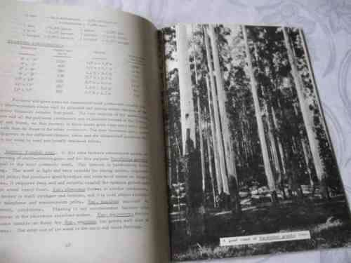THE ESTABLISHMENT AND MANAGEMENT OF FARM PLANTATIONS FOR WOOD PRODUCTION - DEPT.  OF FORESTRY